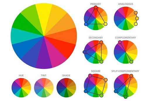 怎樣使用色輪找到完美的顏色組合